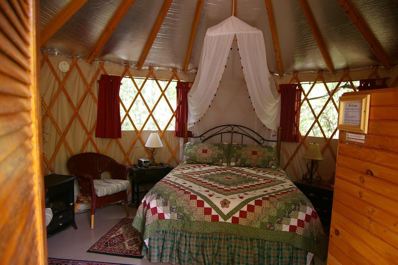 דלונגה Cedar House Inn & Yurts מראה חיצוני תמונה